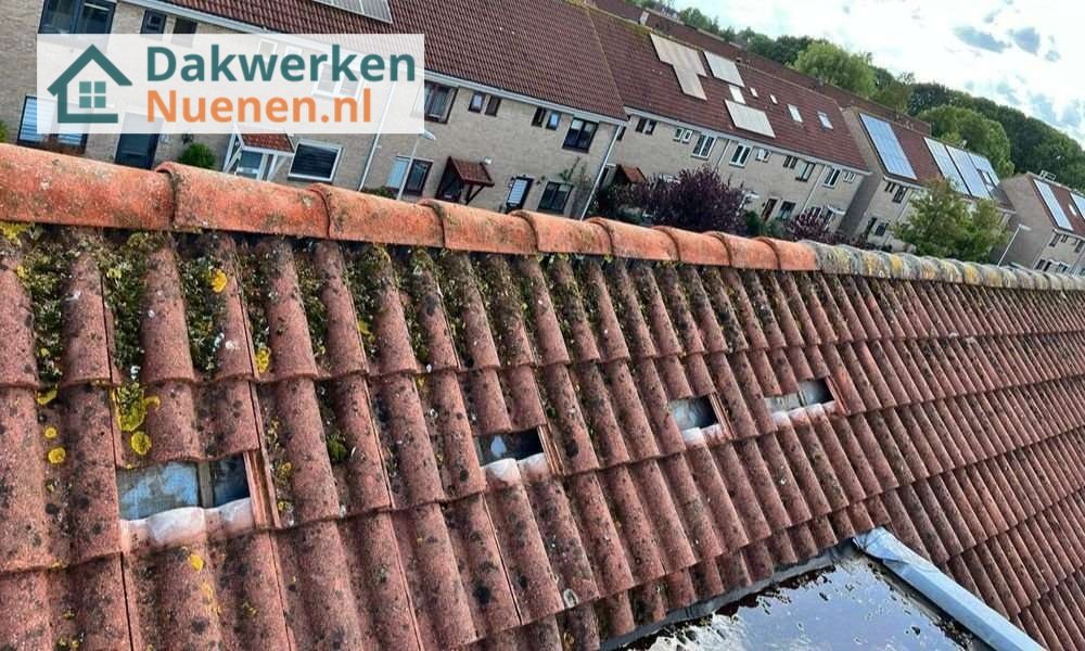 Een dakrenovatie bij oud pannendak Een dakrenovatie bij oud pannendak in Nuenen
